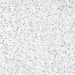 CGC R2120 RADAR BASIC CEILING PNL 5/8IN X 2FT X 2FT WHITE SLT 16PC/CTN