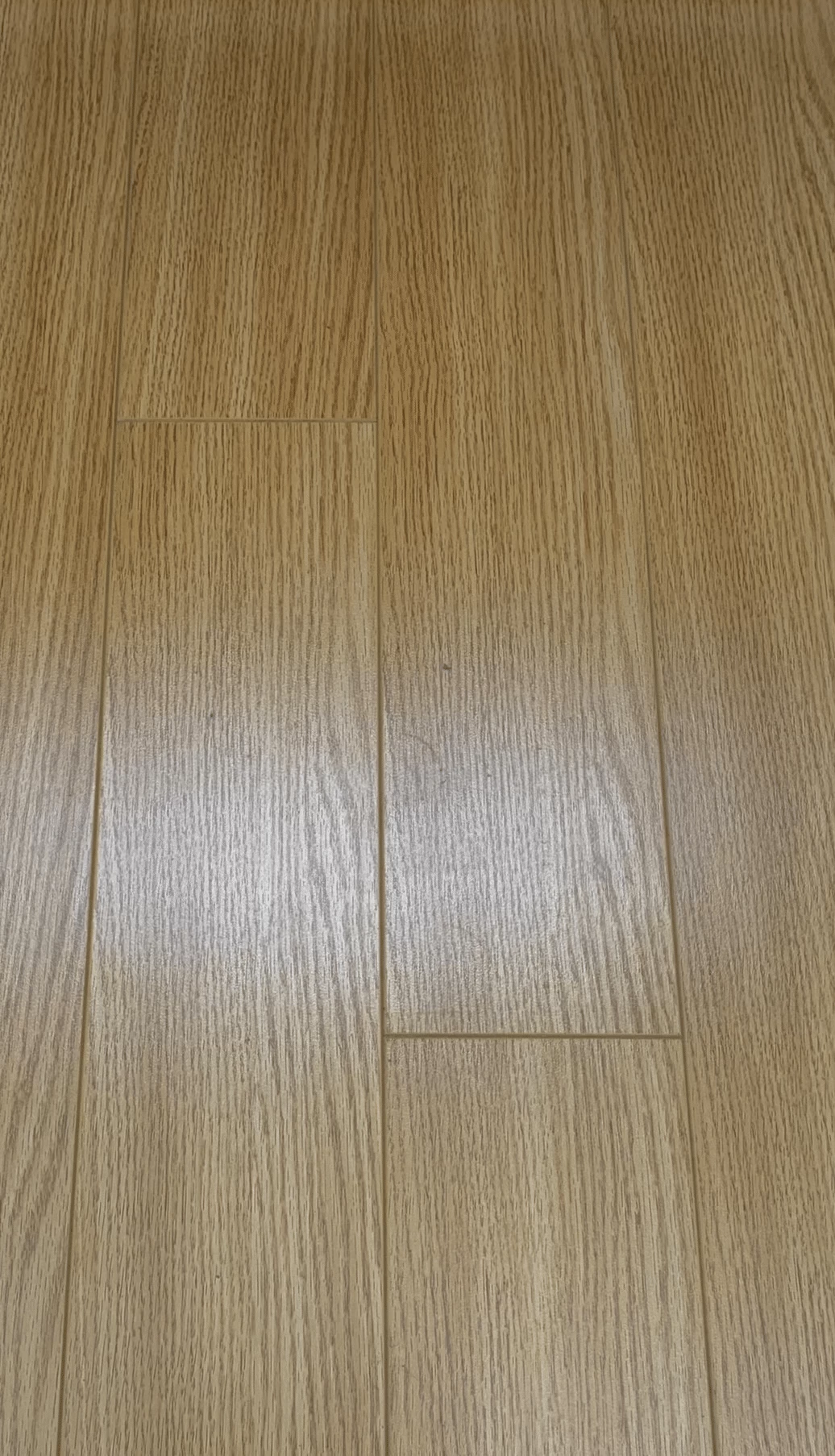 SHERWOOD CLASSIC RED OAK NATURAL 12MM LAMINATE 19.81SQFT/BOX 3 SHERWOOD CLASSIC RED OAK NATURAL 12MM LAMINATE 19.81SQFT/BOX