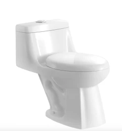 188036 TOILET DUAL FLUSH ELONGATED-FRONT 4.8L/6L 1-PIECE WHITE