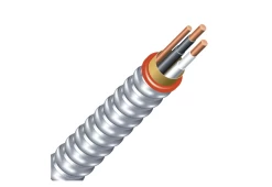 Southwire AC90 12/2 30M Armoured Cable
